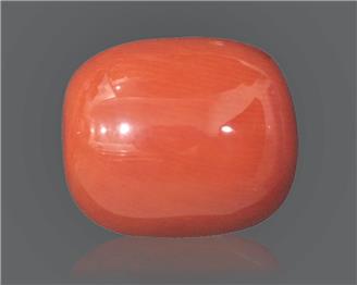 Natural Coral  19.25RTS-18343